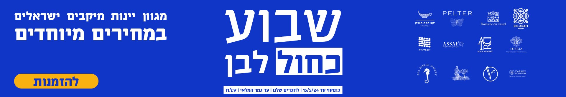 באנר - שבוע ישראלי כחול-לבן